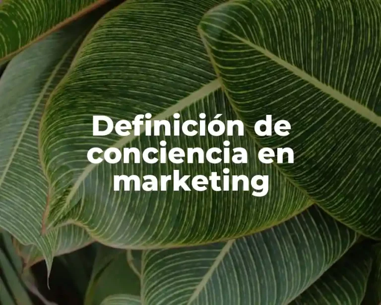 Definición de conciencia en marketing