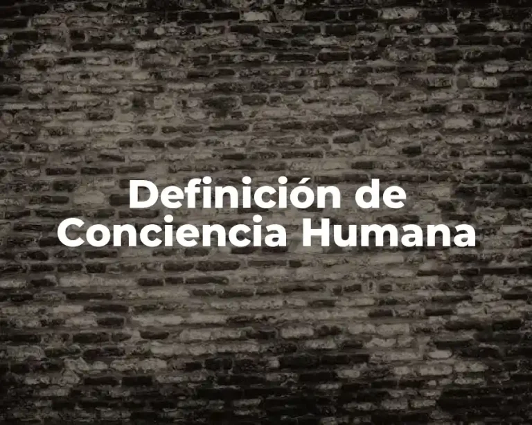 Definición de Conciencia Humana