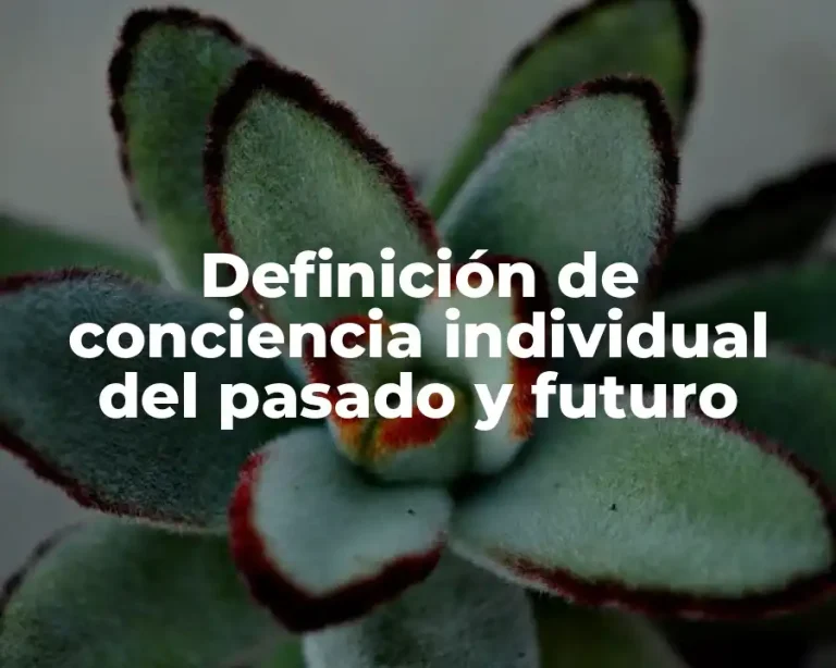 Definición de conciencia individual del pasado y futuro