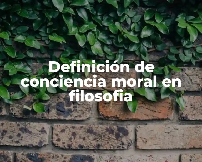 Definición de conciencia moral en filosofia