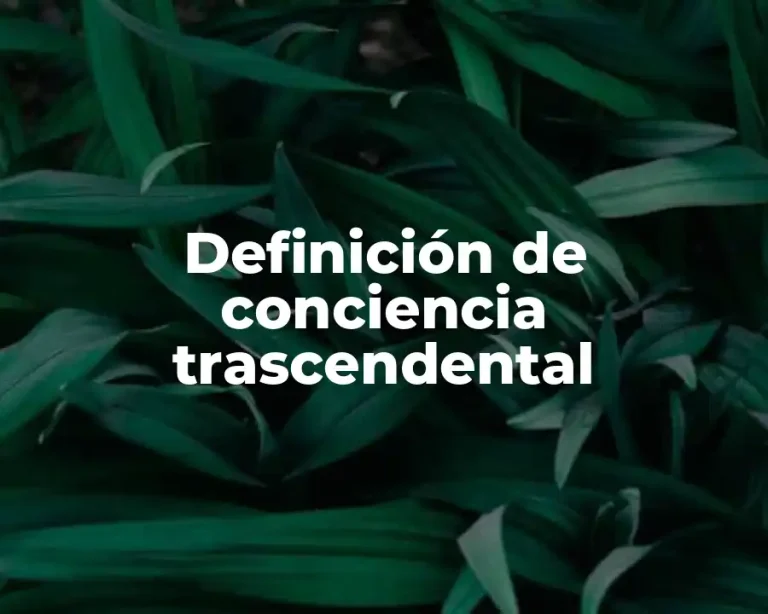 Definición de conciencia trascendental