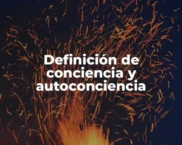 Definición de conciencia y autoconciencia