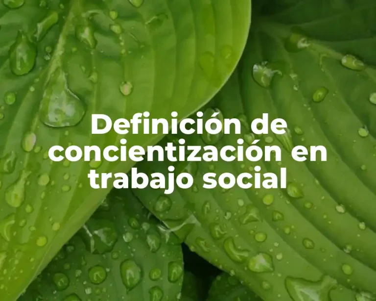 Definición de concientización en trabajo social