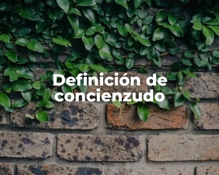 Definición de concienzudo