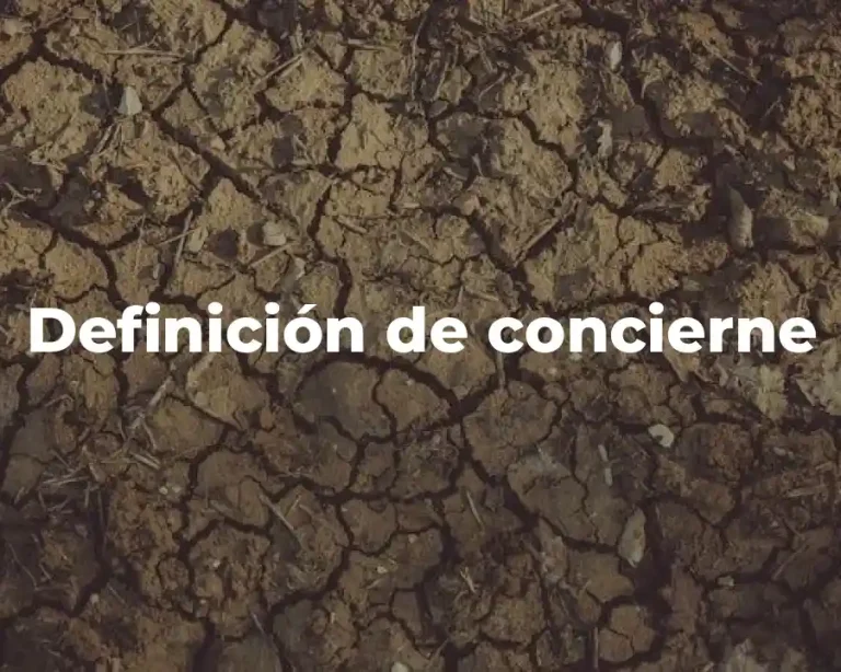 Definición de concierne