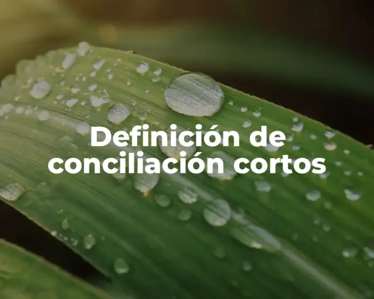 Definición de conciliación cortos