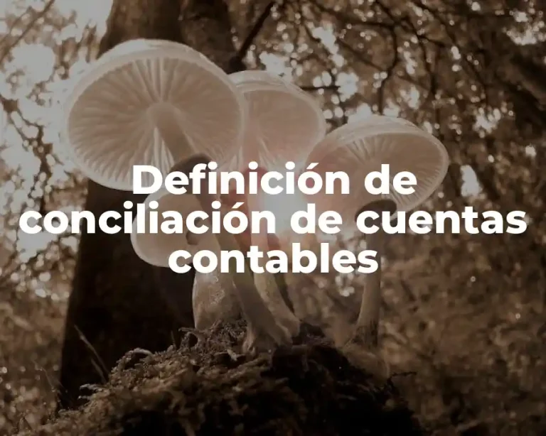 Definición de conciliación de cuentas contables