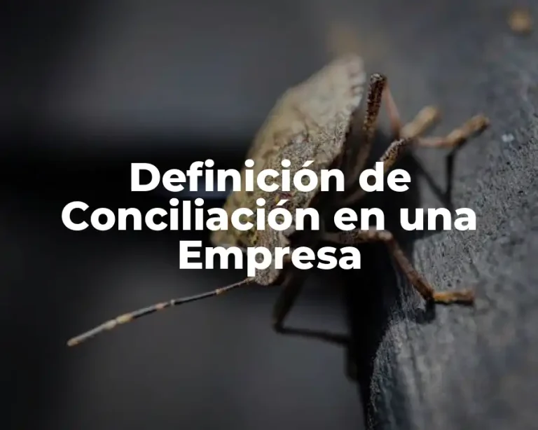 Definición de Conciliación en una Empresa