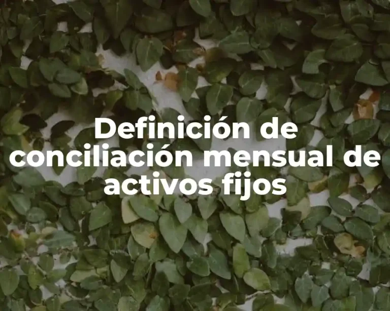Definición de conciliación mensual de activos fijos