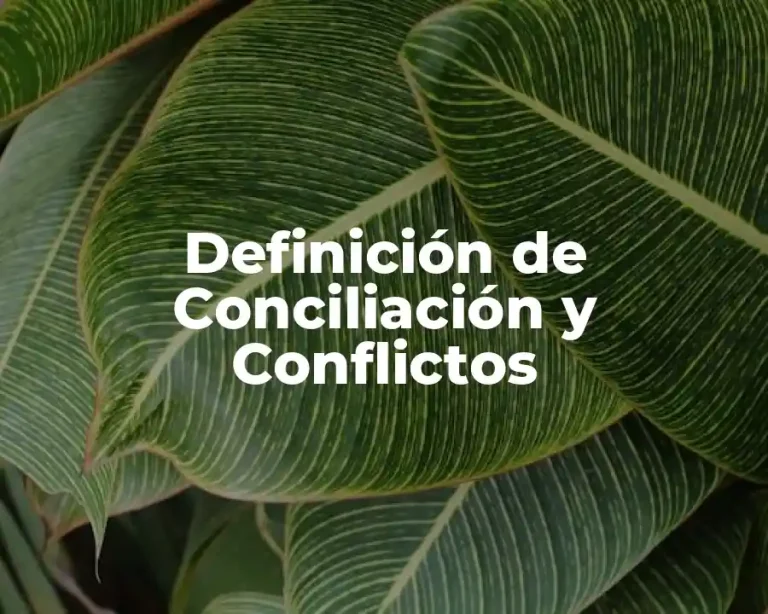 Definición de Conciliación y Conflictos