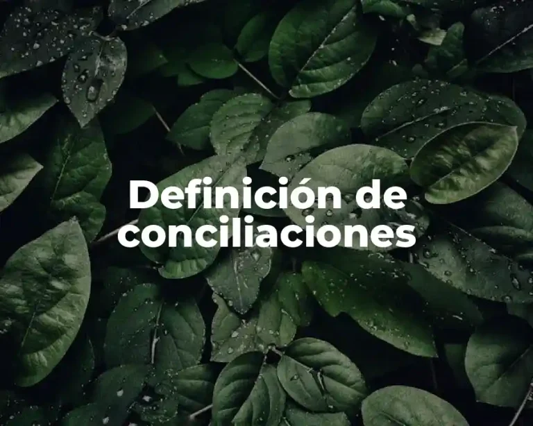 Definición de conciliaciones