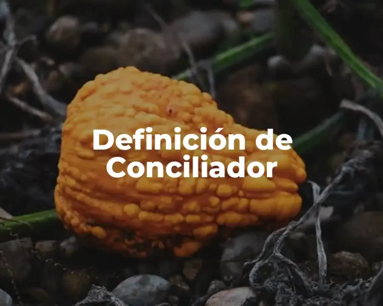 Definición de Conciliador