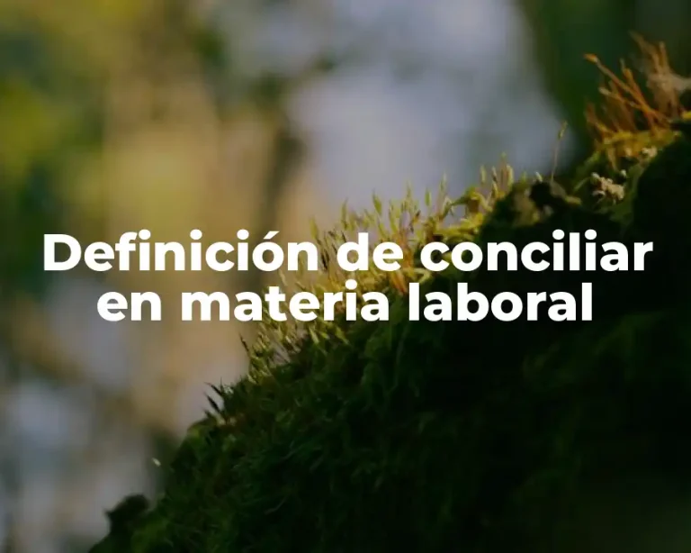 Definición de conciliar en materia laboral