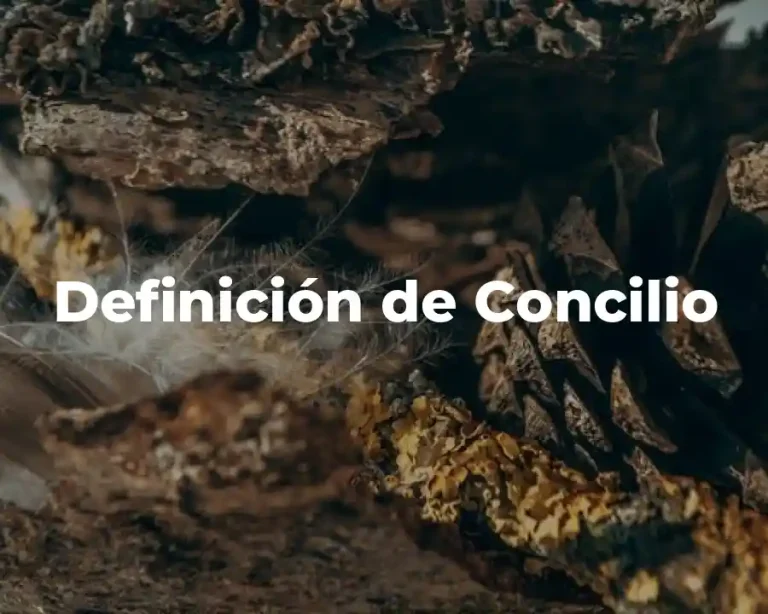 Definición de Concilio