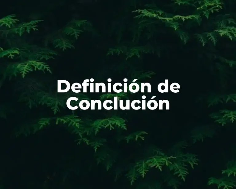 Definición de Conclución