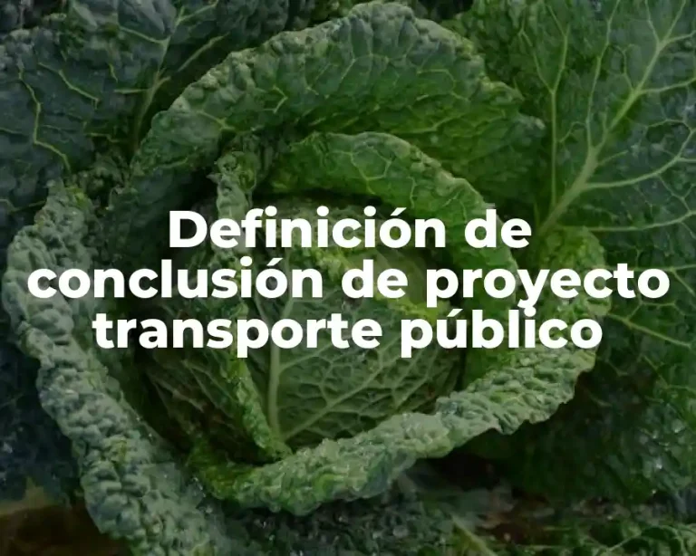 Definición de conclusión de proyecto transporte público