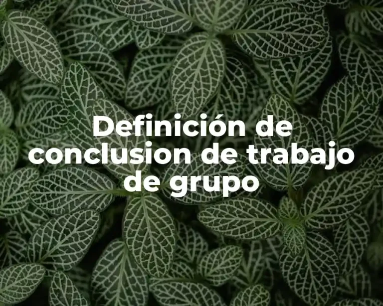 Definición de conclusion de trabajo de grupo