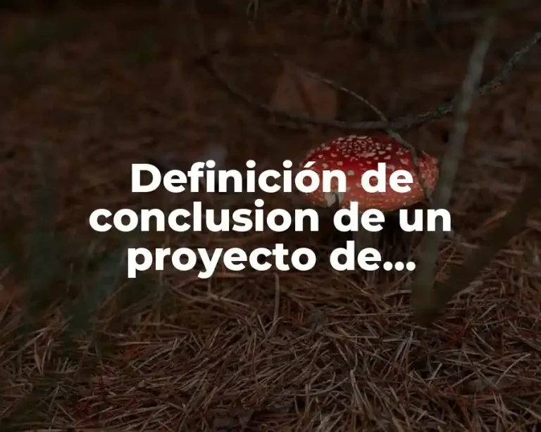 Definición de conclusion de un proyecto de abastecimiento del agua