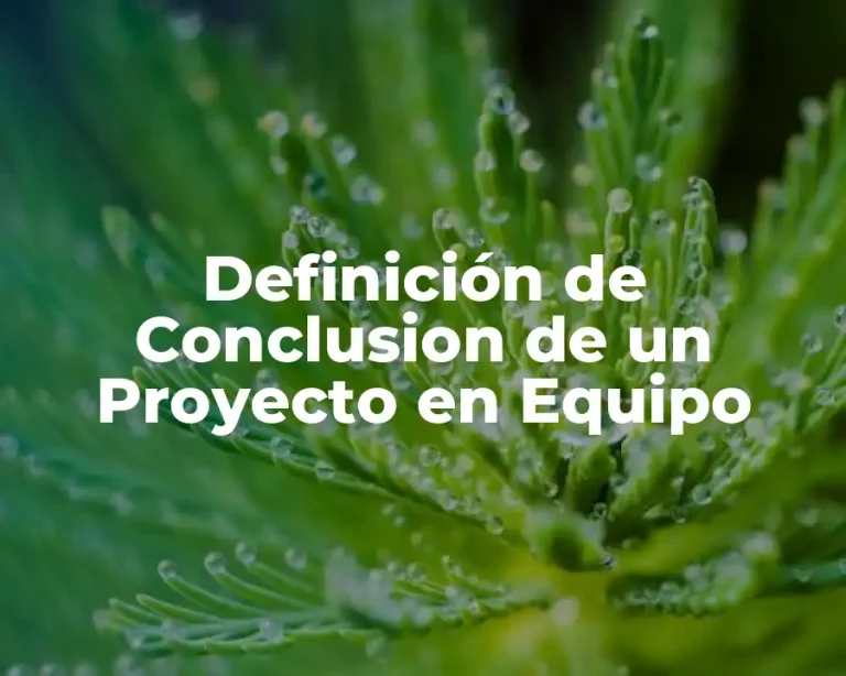 Definición de Conclusion de un Proyecto en Equipo