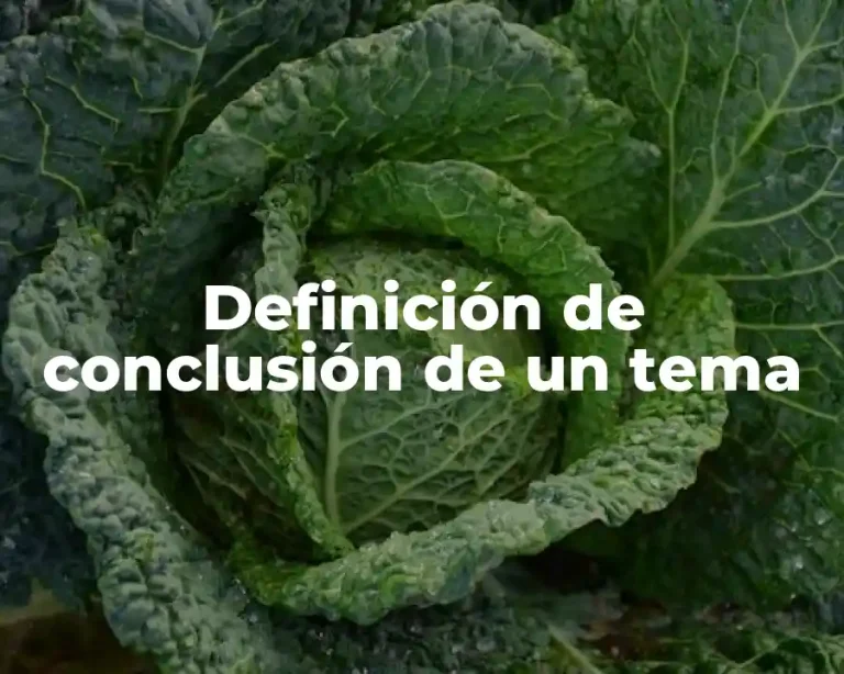 Definición de conclusión de un tema