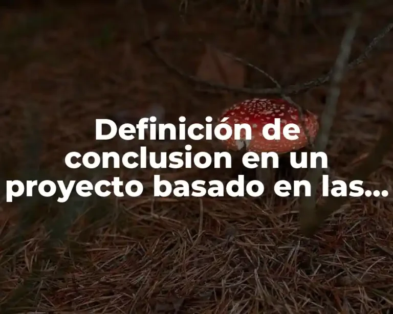 Definición de conclusion en un proyecto basado en las ecommerce