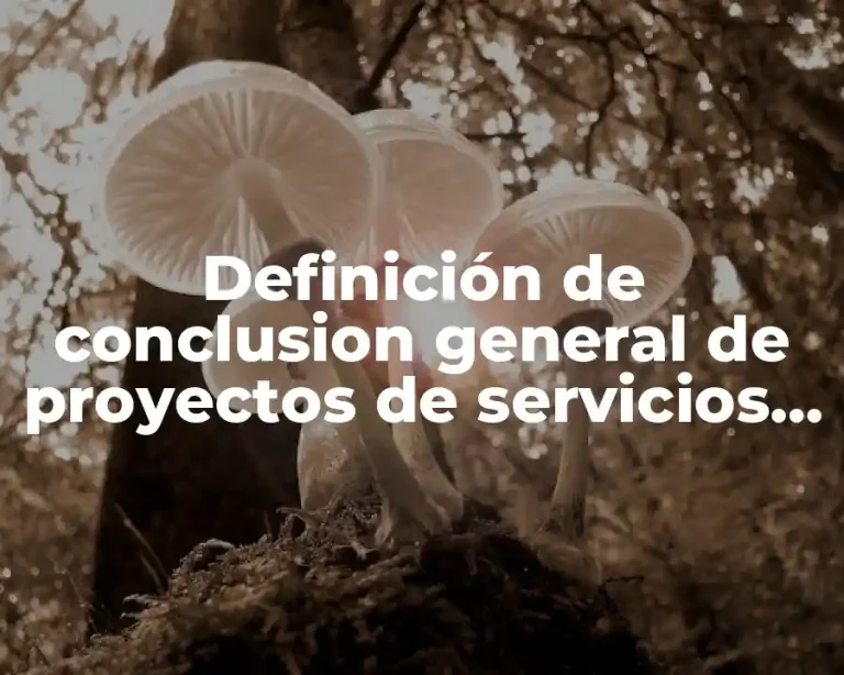 Definición de conclusion general de proyectos de servicios de autoservicio