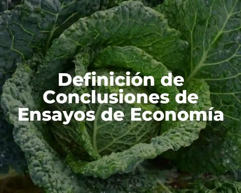 Definición de Conclusiones de Ensayos de Economía