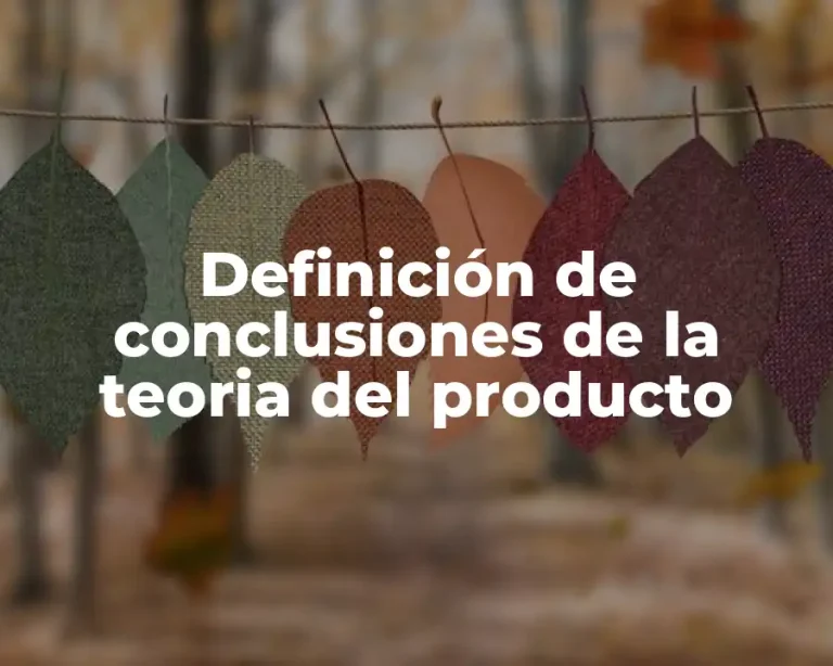 Definición de conclusiones de la teoria del producto