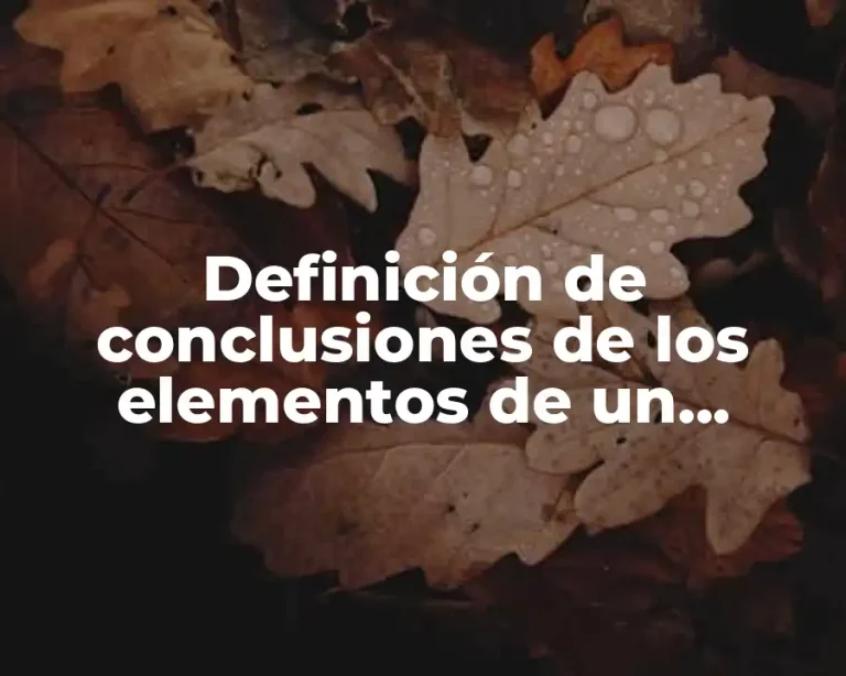 Definición de conclusiones de los elementos de un proyecto