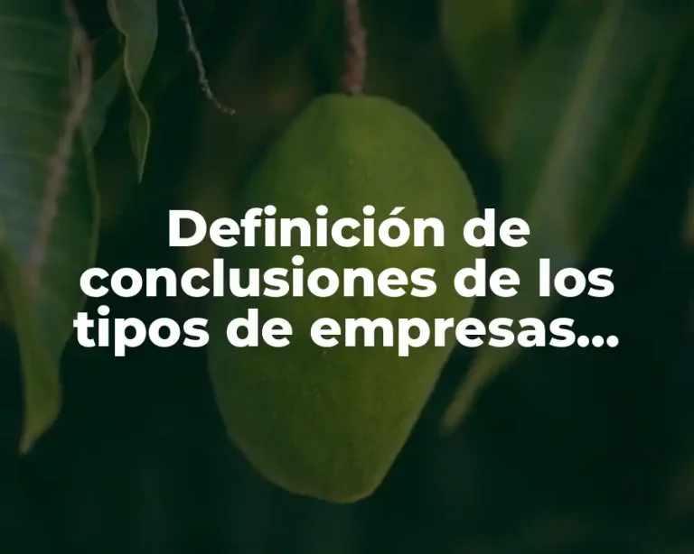 Definición de conclusiones de los tipos de empresas presentaciones Prezi
