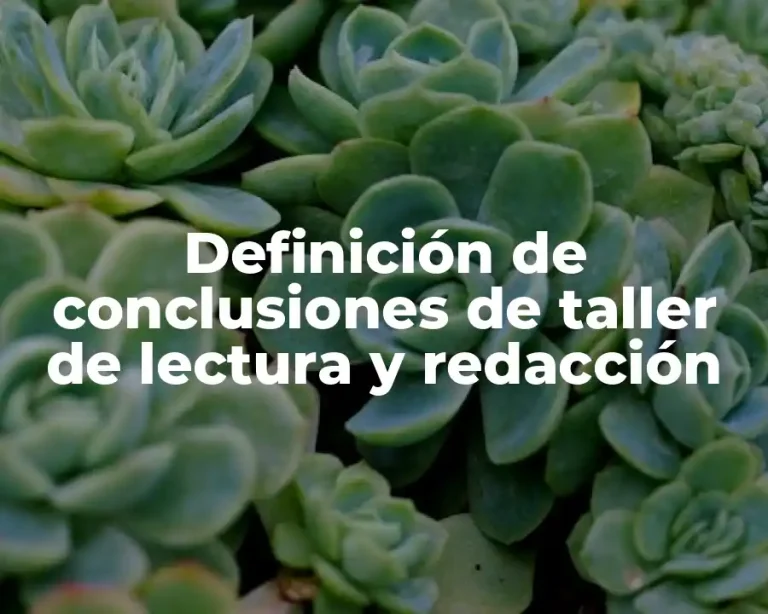 Definición de conclusiones de taller de lectura y redacción