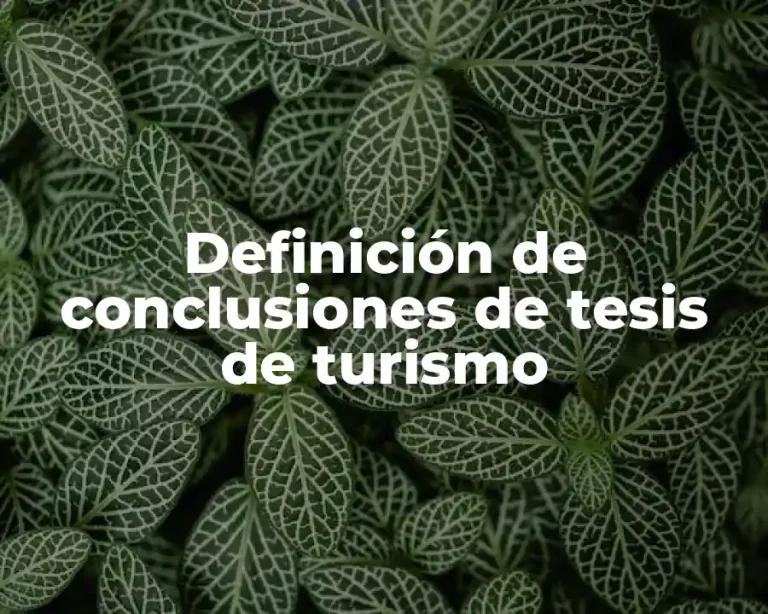 Definición de conclusiones de tesis de turismo