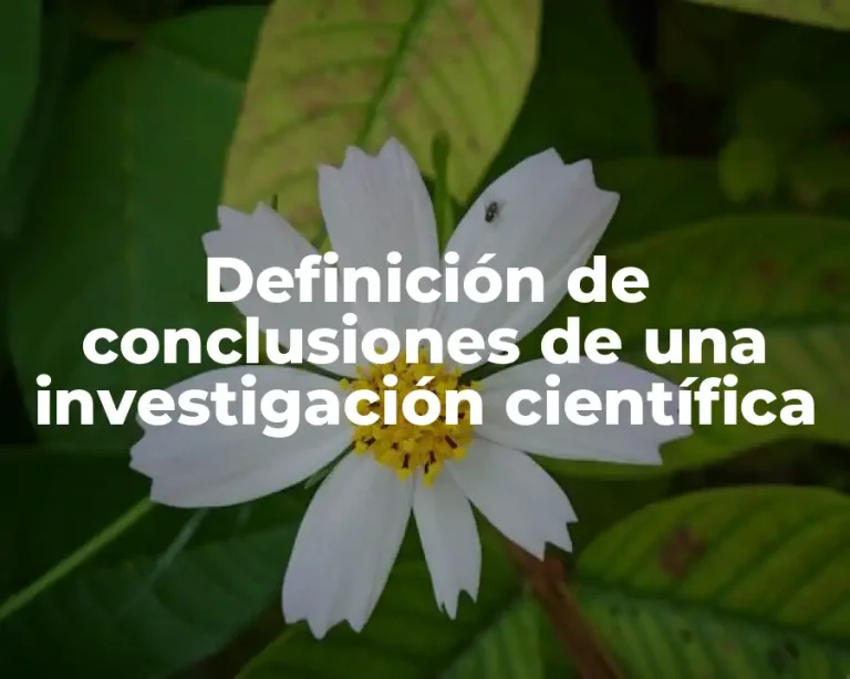 Definición de conclusiones de una investigación científica