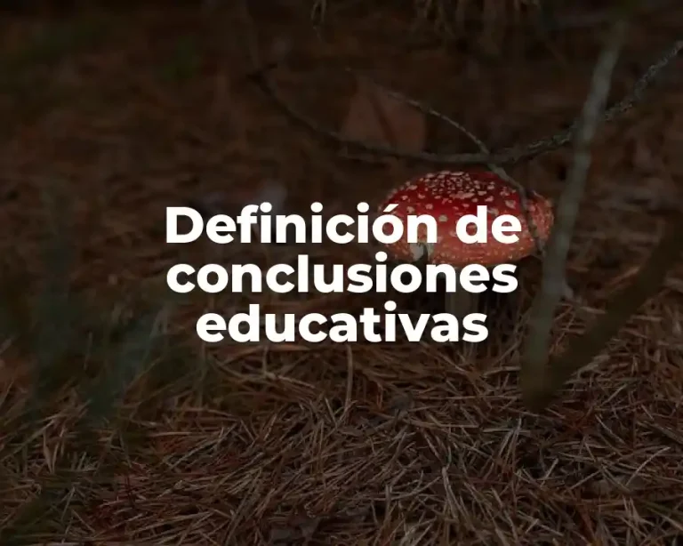 Definición de conclusiones educativas