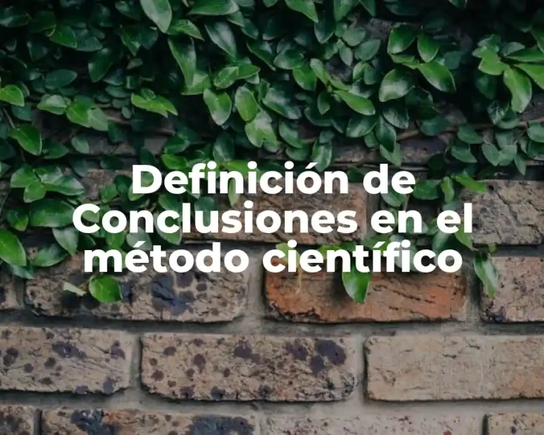 Definición de Conclusiones en el método científico