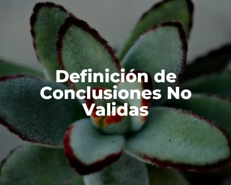 Definición de Conclusiones No Validas