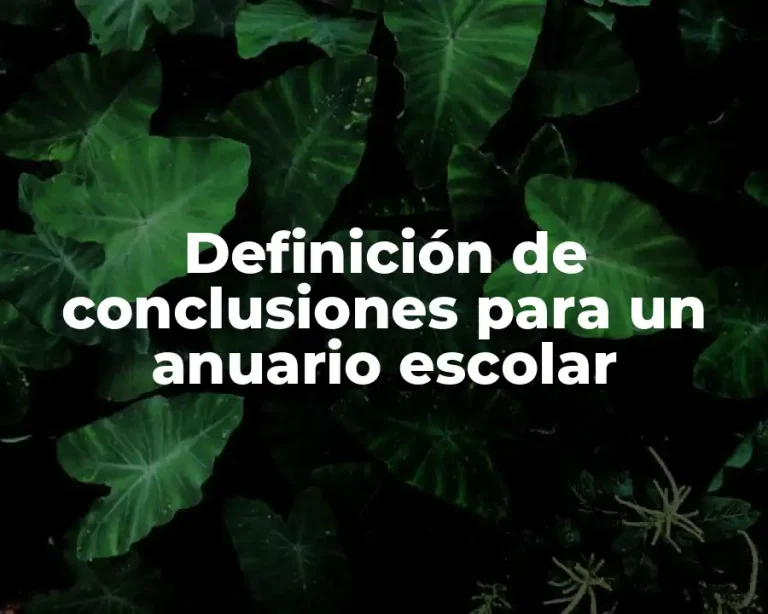 Definición de conclusiones para un anuario escolar