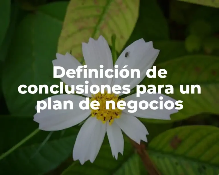 Definición de conclusiones para un plan de negocios