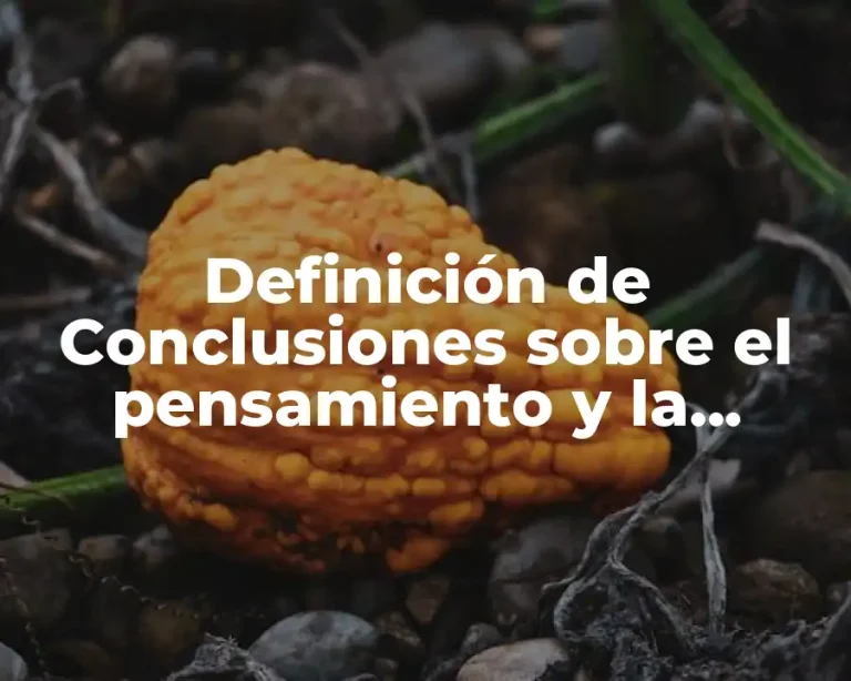 Definición de Conclusiones sobre el pensamiento y la inteligencia