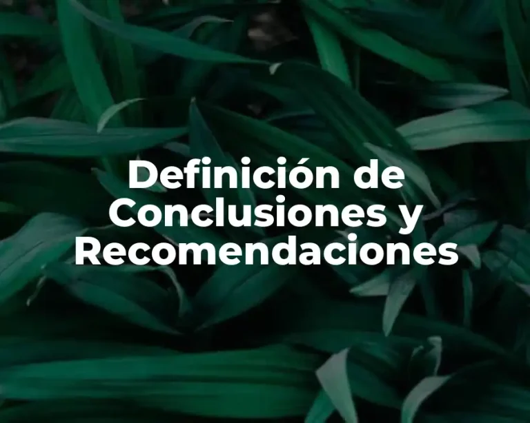 Definición de Conclusiones y Recomendaciones