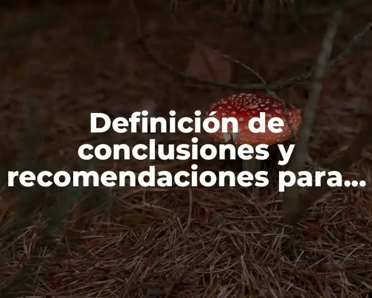 Definición de conclusiones y recomendaciones para una tesis
