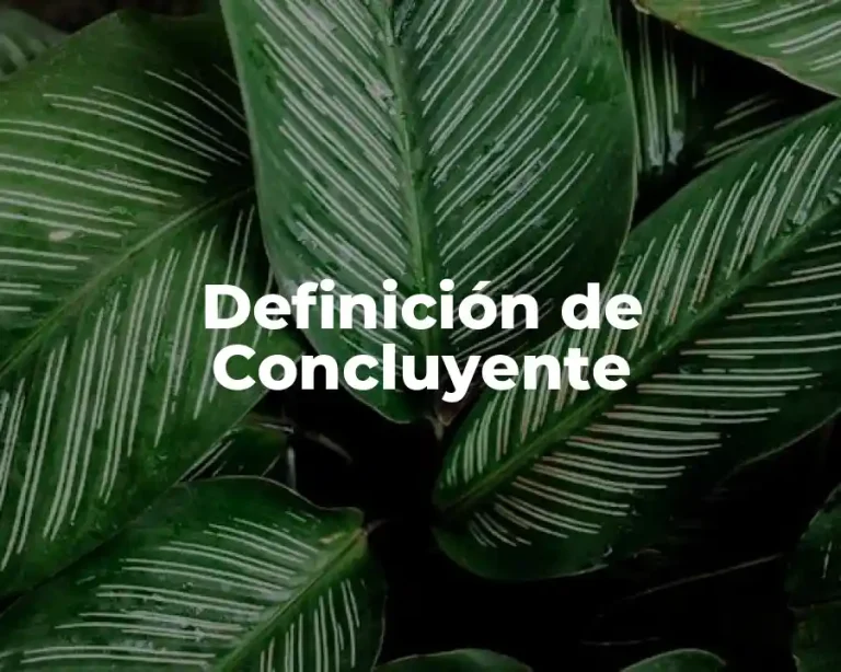 Definición de Concluyente