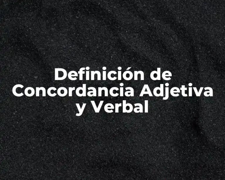 Definición de Concordancia Adjetiva y Verbal