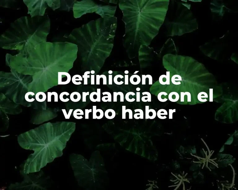 Definición de concordancia con el verbo haber