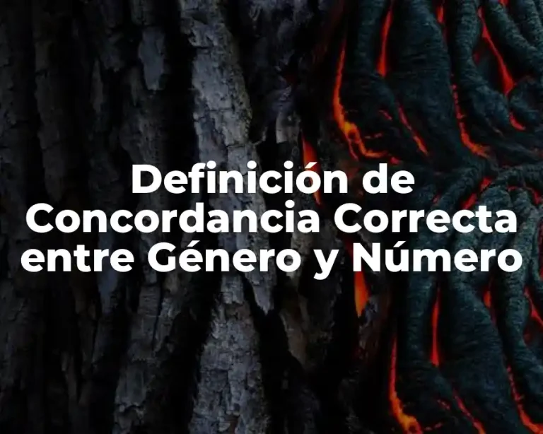 Definición de Concordancia Correcta entre Género y Número