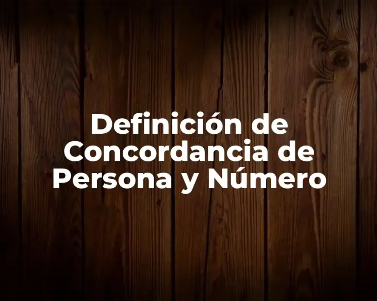 Definición de Concordancia de Persona y Número
