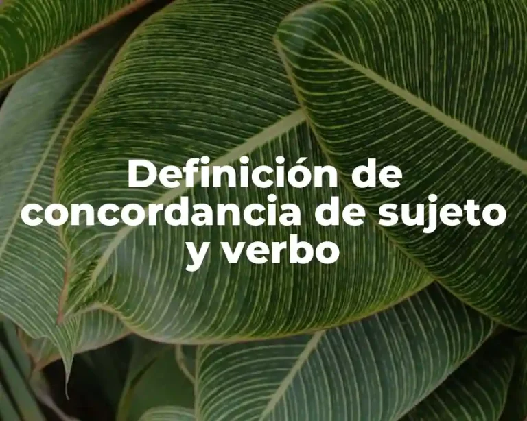 Definición de concordancia de sujeto y verbo