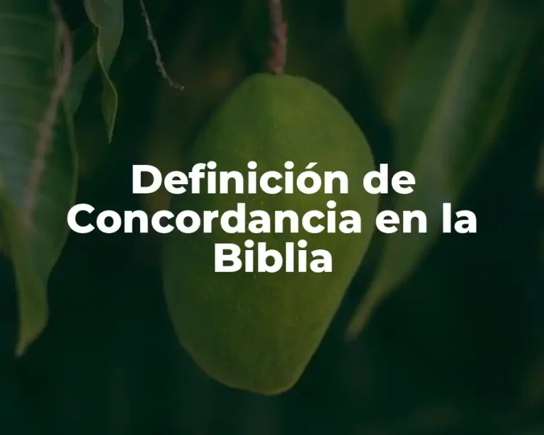 Definición de Concordancia en la Biblia