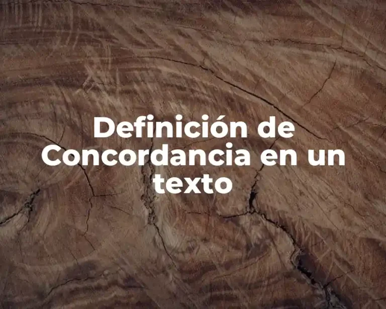 Definición de Concordancia en un texto