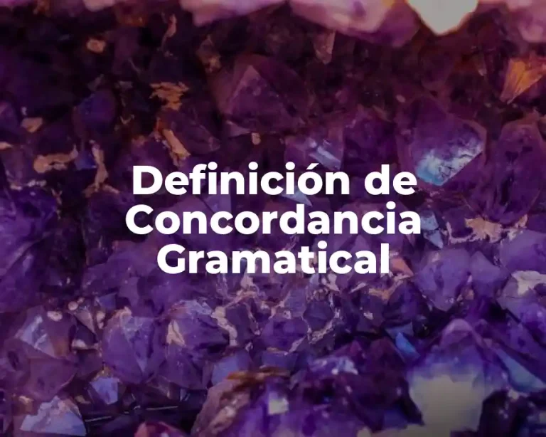 Definición de Concordancia Gramatical